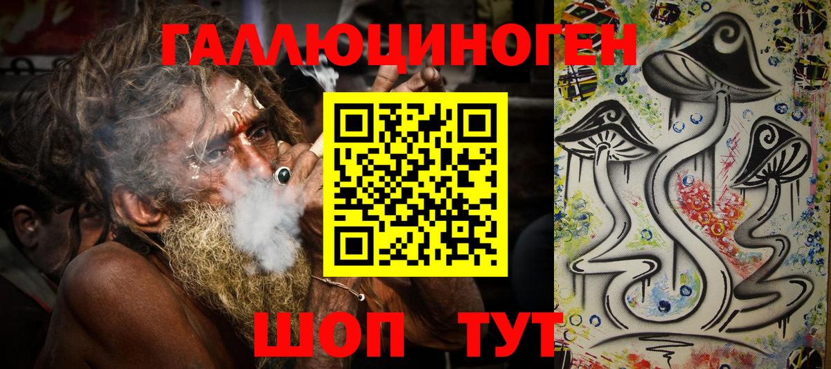 Галлюциногенные грибы Psilocybe Зеленокумск