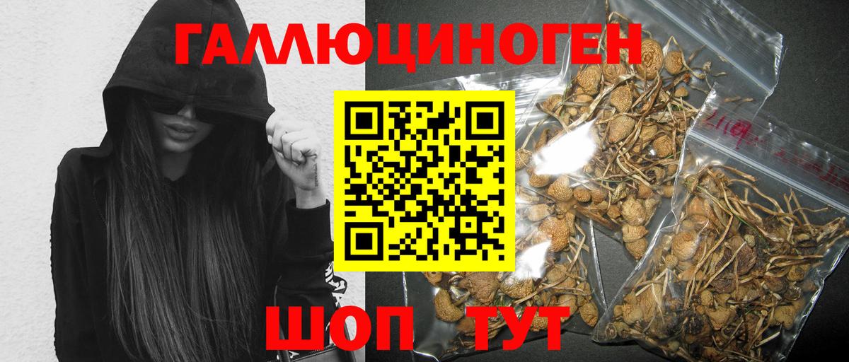 Псилоцибиновые грибы мухоморы Зеленокумск