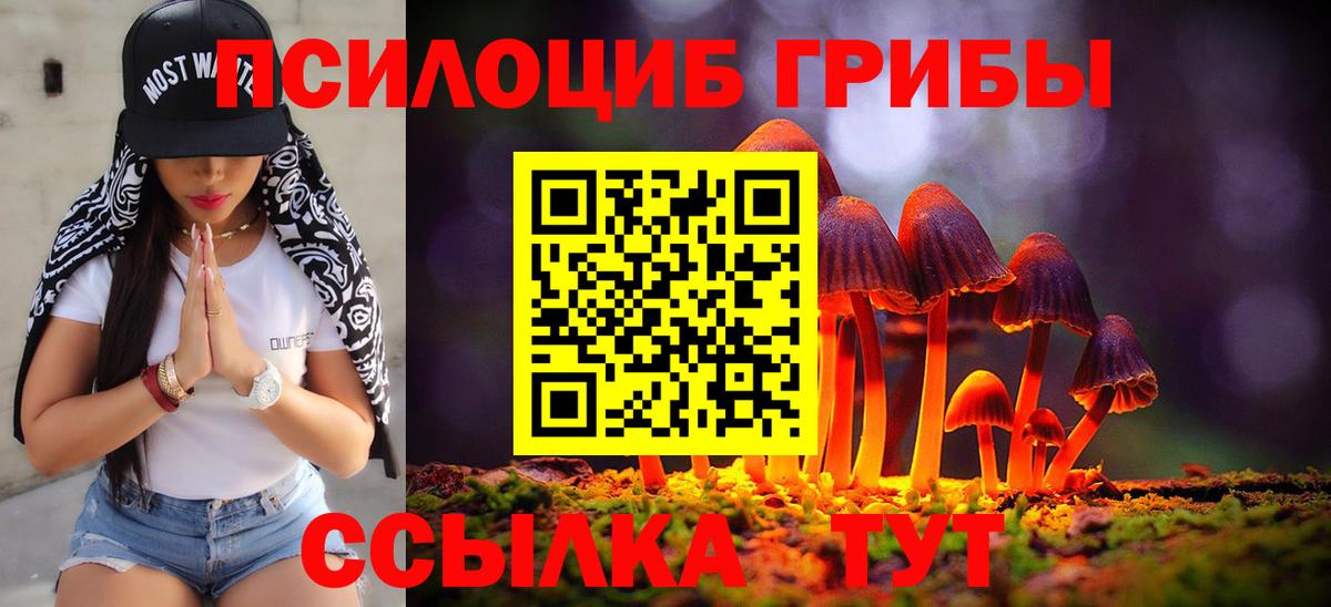 как найти закладки  Галлюциногенные грибы мицелий  Вход с VPN  Зеленокумск 