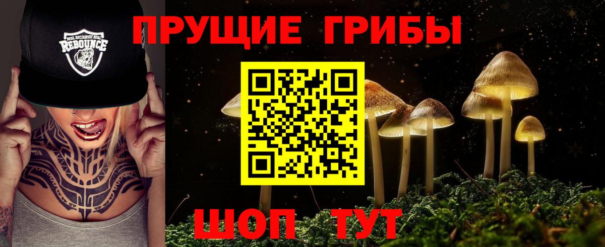 Галлюциногенные грибы Psilocybine cubensis  Зеленокумск 